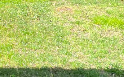 Photo of Emmett W.'s yard after getting landscaping in Cheltenham, MD