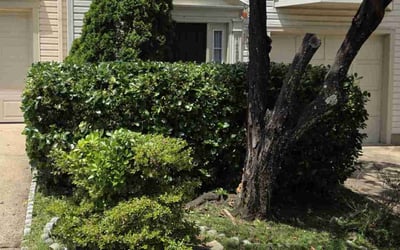 Photo of Kim R.'s yard after getting landscaping in Centreville, VA