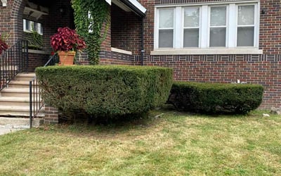Photo of Glen M.'s yard after getting landscaping in Grosse Ile, MI
