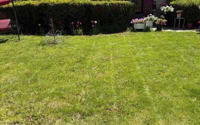 Photo of Diana D.'s yard after getting landscaping in New Berlin, WI