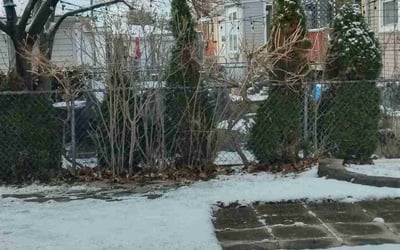 Photo of Mark S.'s yard after getting landscaping in Peotone, IL