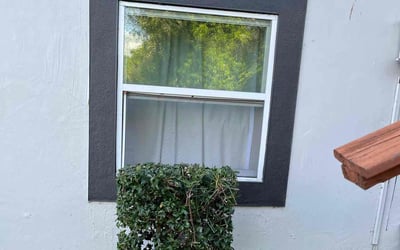Photo of Bill D.'s yard after getting landscaping in Clearwater Beach, FL