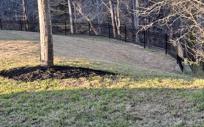 Photo of Brian P.'s yard after getting landscaping in Mc Connells, SC