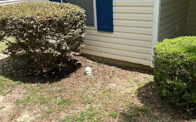 Photo of Michael H.'s yard after getting tree care in Quincy, FL