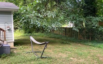 Photo of Mark F.'s yard after getting tree care in Hiram, GA