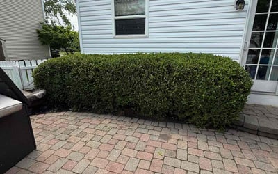 Photo of John M.'s yard after getting landscaping in Westerville, OH