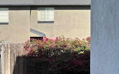 Photo of Barbara S.'s yard after getting landscaping in Spring Valley, CA