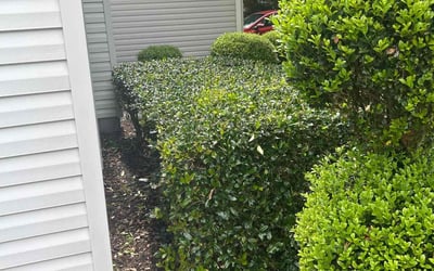 Photo of Bradley D.'s yard after getting landscaping in Suffolk, VA