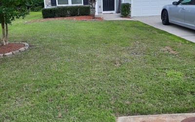 Photo of Brittany S.'s yard after getting landscaping in Schley, VA