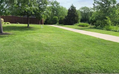 Photo of Charles C.'s yard after getting lawn care in Sunnyvale, TX