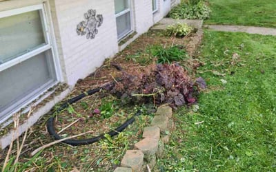 Photo of Nick H.'s yard after getting landscaping in Northwood, OH