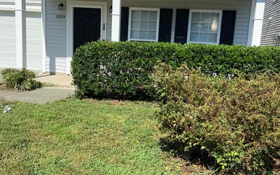 Photo of Jack B.'s yard after getting tree care in Zebulon, NC