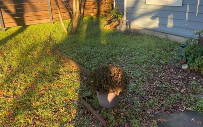 Photo of Lisa P.'s yard after getting landscaping in Harwood, TX