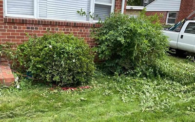 Photo of Rosa L.'s yard after getting tree care in Fort Washington, MD
