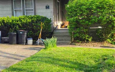 Photo of Linda M.'s yard after getting landscaping in Lithopolis, OH