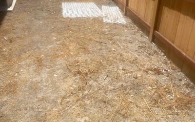 Photo of Gloria M.'s yard after getting landscaping in Campo, CA
