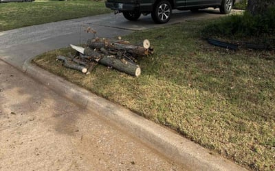 Photo of Madison T.'s yard after getting landscaping in Tuttle, OK