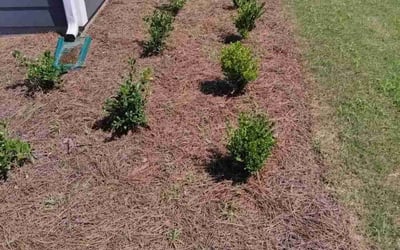 Photo of Shawn R.'s yard after getting landscaping in Huntersville, NC