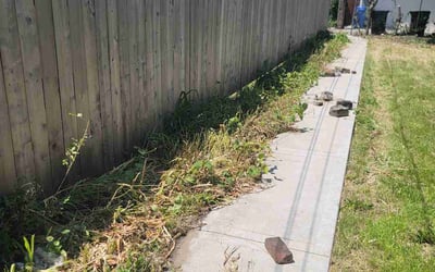 Photo of Jason L.'s yard after getting landscaping in Chicago, IL