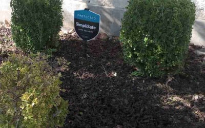 Photo of Phyllis B.'s yard after getting landscaping in Mico, TX