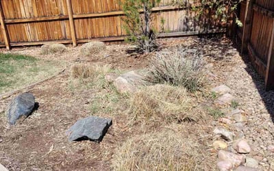 Photo of Jon R.'s yard after getting landscaping in Elizabeth, CO
