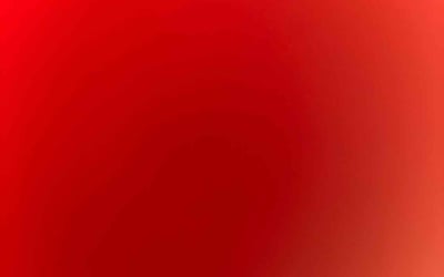 Photo of Allen J.'s yard after getting tree care in North Charleston, SC