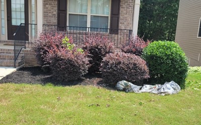 Photo of Joseph E.'s yard after getting landscaping in Kingston, GA