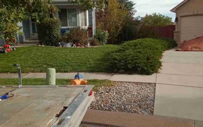 Photo of Grant I.'s yard after getting tree care in Fountain, CO