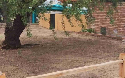 Photo of Ravi G.'s yard after getting tree care in Mesa, AZ