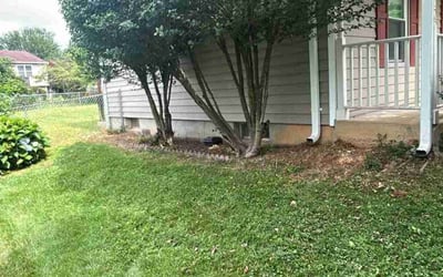 Photo of Megan C.'s yard after getting landscaping in Cabin John, MD