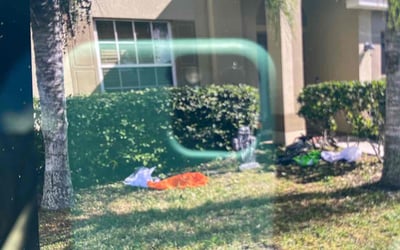 Photo of Amanda E.'s yard after getting landscaping in Sun City, FL