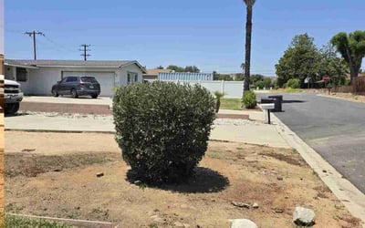 Photo of Anthony G.'s yard after getting landscaping in Moreno Valley, CA