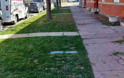 Photo of Andrew M.'s yard after getting landscaping in Rollinsville, CO