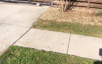 Photo of Chelsea M.'s yard after getting landscaping in Merit, TX