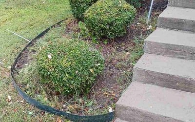 Photo of Selva M.'s yard after getting landscaping in Campbell, TX