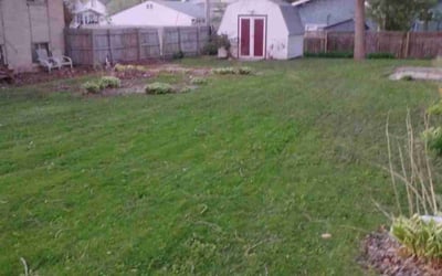 Photo of Wendy T.'s yard after getting landscaping in Portage, WI