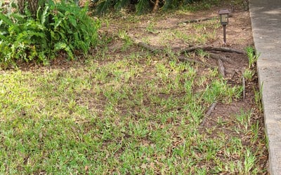 Photo of Scott W.'s yard after getting landscaping in Kemah, TX