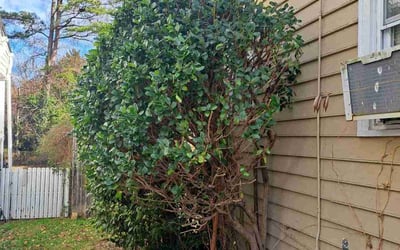 Photo of Abriel L.'s yard after getting landscaping in Maidens, VA