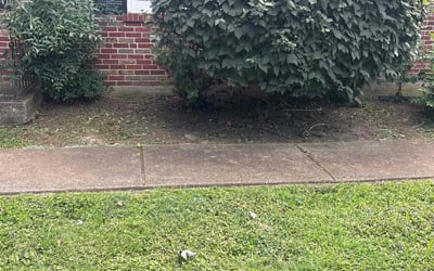 Photo of Scott T.'s yard after getting landscaping in Florissant, MO