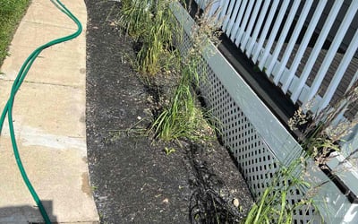 Photo of Brian C.'s yard after getting landscaping in Pleasant Plain, OH
