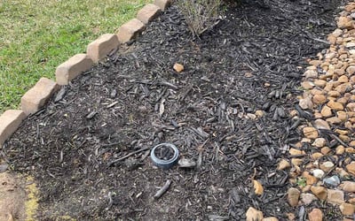 Photo of April W.'s yard after getting landscaping in Wallisville, TX
