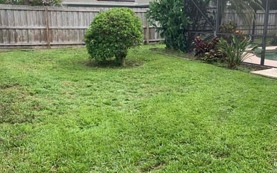 Photo of Alexis G.'s yard after getting landscaping in Grant, FL