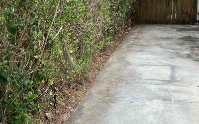 Photo of Melanie L.'s yard after getting landscaping in Bradenton Beach, FL