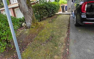 Photo of Nai J.'s yard after getting tree care in Woodinville, WA