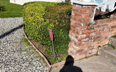 Photo of Sue J.'s yard after getting tree care in Canoga Park, CA