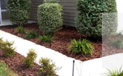 Photo of Jay Z.'s yard after getting tree care in Porter, TX