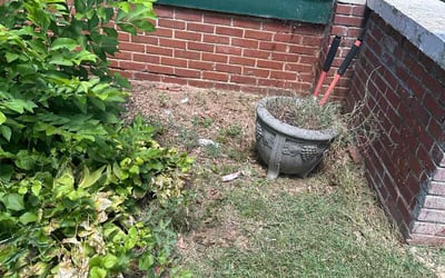 Photo of Nikolette B.'s yard after getting tree care in Ladson, SC