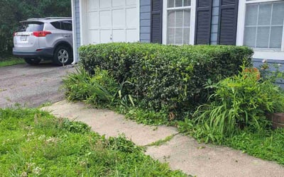 Photo of Jennifer R.'s yard after getting landscaping in Chapel Hill, NC