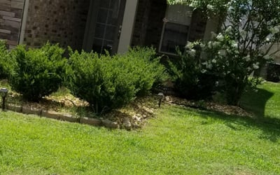 Photo of Selina G.'s yard after getting tree care in Murfreesboro, TN