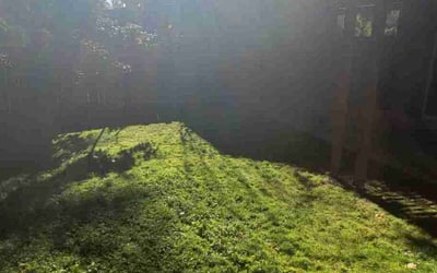 Photo of Taylor M.'s yard after getting landscaping in Monroe, WA